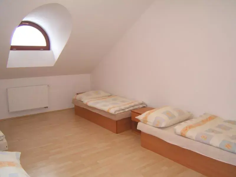 Photo 3 of Ubytovna Orlovna